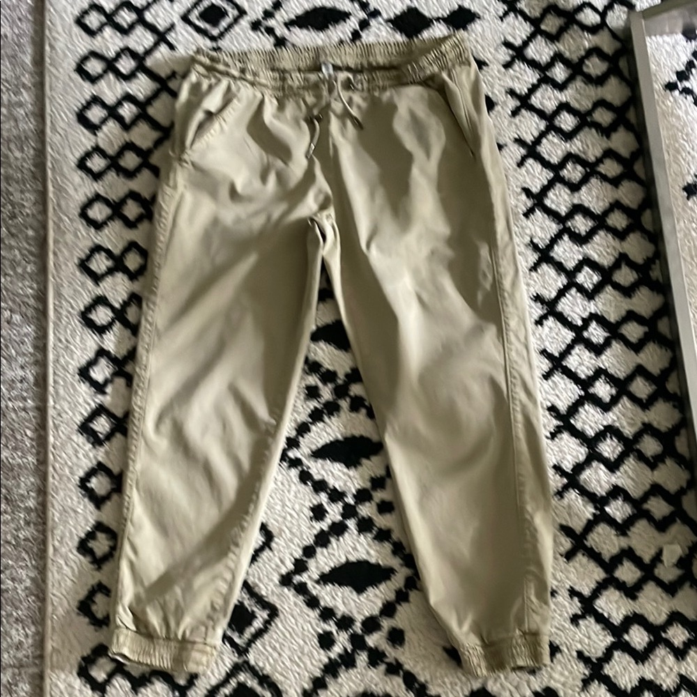 Zara Tan Pants